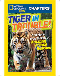 Image of Tiger in Trouble